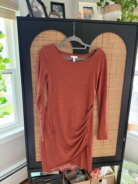 Leith Long Sleeve Bodycon Ruched Dress in Rust